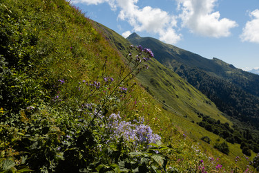 Similar image 22237136