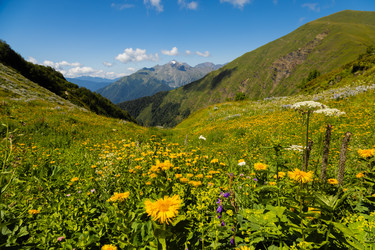 Similar image 22237137