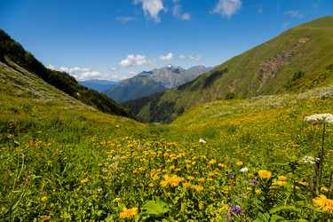 Similar image 22237138