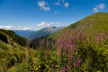 Similar image 22237139