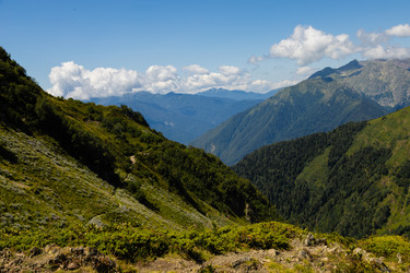 Similar image 22237140