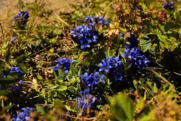 Similar image 22237141