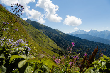 Similar image 22236893