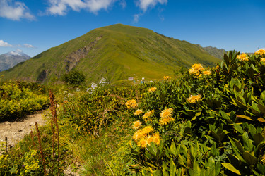 Similar image 22236894