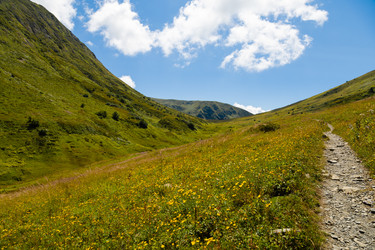 Similar image 22236896