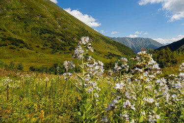 Similar image 22236897