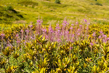 Similar image 22236899