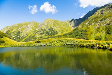 Similar image 22236900