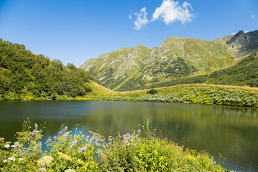 Similar image 22236901