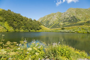 Similar image 22236902