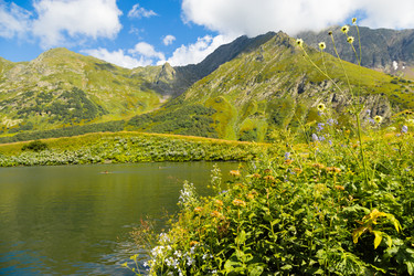 Similar image 22236906