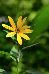 Similar image 22236694