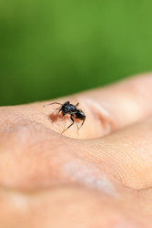 Similar image 22236696