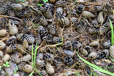 Similar image 22236697