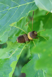 Similar image 22236698