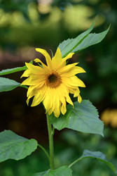 Similar image 22236699