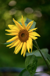 Similar image 22236700