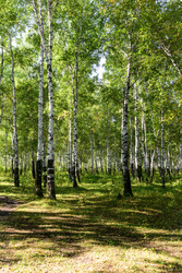 Similar image 22236701