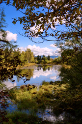 Similar image 22236703