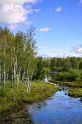 Similar image 22236704