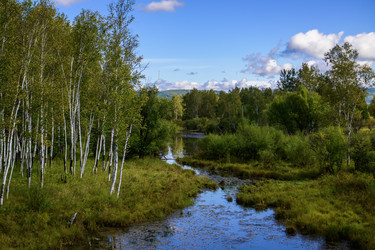 Similar image 22236705