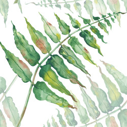 Similar image 22244420