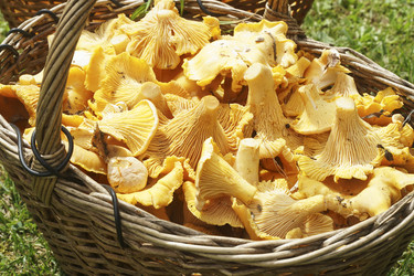 Similar image 22236911