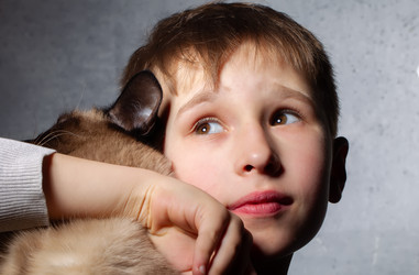 Similar image 22247960