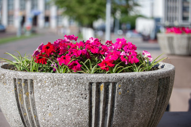 Similar image 22247964