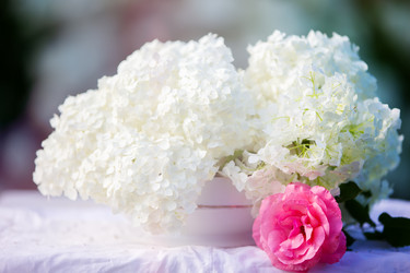 Similar image 22247972