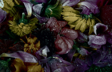 Similar image 22247937