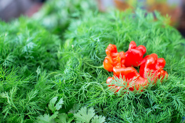 Similar image 22247945