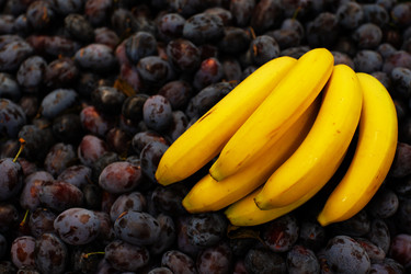 Similar image 22247980