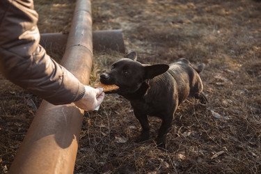 Similar image 22237216