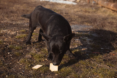 Similar image 22237217