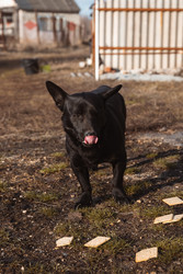 Similar image 22237218