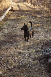 Similar image 22237221