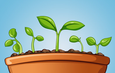 Similar image 22243280