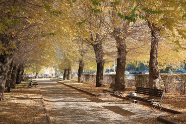 Similar image 22237222