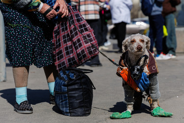 Similar image 22237223