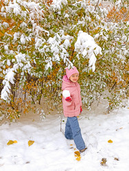 Similar image 22244173