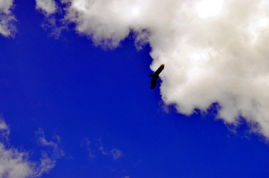 Similar image 22236927