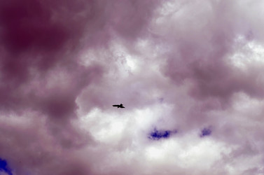 Similar image 22236928