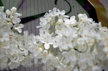 Similar image 22236933