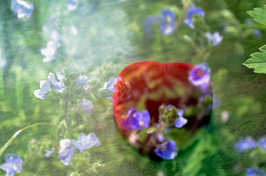 Similar image 22244425