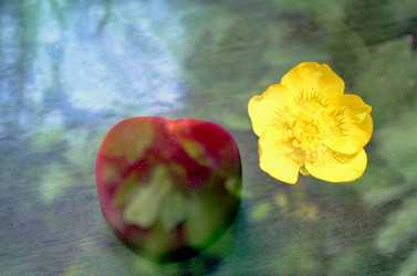 Similar image 22244426