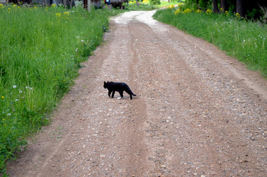 Similar image 22244429