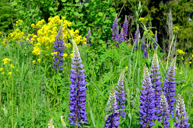 Similar image 22244430