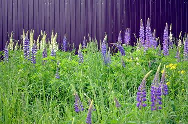 Similar image 22244432