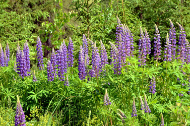 Similar image 22244433